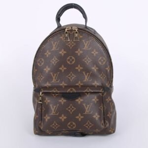 Louis Vuitton - Palm Springs PM Monogram Canvas Backpack